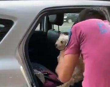 Policía rompió el vidrio de un auto para rescatar a un perrito encerrado