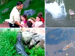 parque del terror: un empleado espanto a un caiman cercano a un popular juego de disney parque del terror: un empleado espanto a un caiman cercano a un popular juego de disney