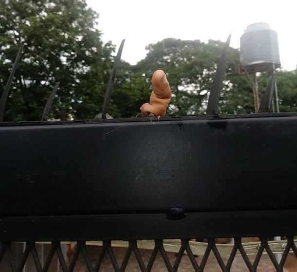 Un ladrón perdió un dedo en una reja