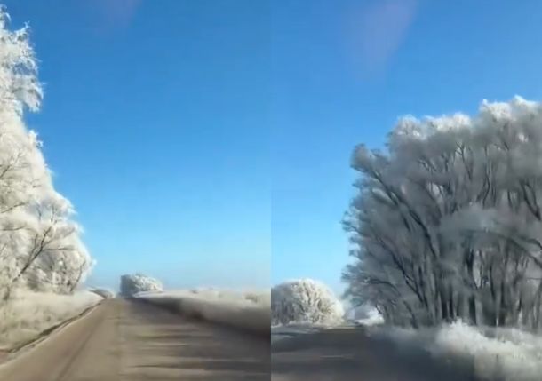 Ola de frío polar y bosque de hielo: impactante video de un camino congelado en Buenos Aires