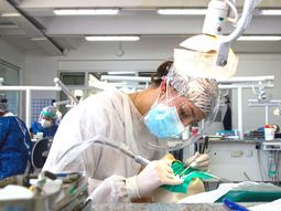 el hospital odontologico de la uba brindara atencion durante enero y febrero para cubrir la alta demanda el hospital odontologico de la uba brindara atencion durante enero y febrero para cubrir la alta demanda