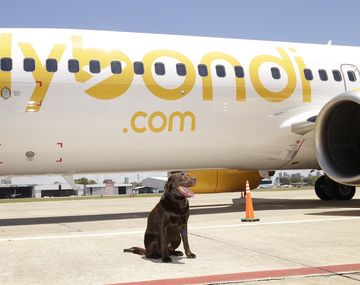 El primer avión de la compañía, llamado Nelson