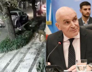 José Luis Espert denunció que manifestantes tiraron bosta en la puerta su casa: el video