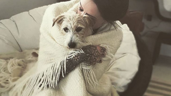 Cande Tinelli tiene adoración por sus dos perritos. Cande Tinelli tiene adoración por sus dos perritos.