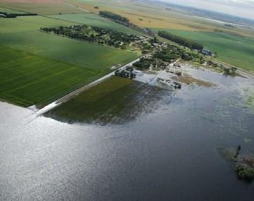Emergencia agropecuaria en la Provincia