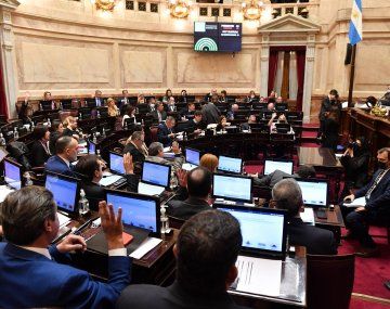 Foto: @SenadoArgentina