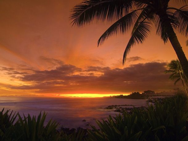 Llegó la gran ola: el tsunami no causó daños en Hawai