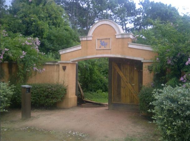 ¿Susana Giménez fue víctima de un robo en Punta del Este?