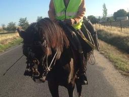 de espana a alemania a caballo para conseguir trabajo de espana a alemania a caballo para conseguir trabajo