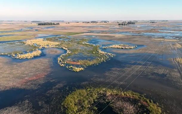 Hay más de un millón de hectáreas anegadas en la provincia de Buenos Aires. Hay más de un millón de hectáreas anegadas en la provincia de Buenos Aires.