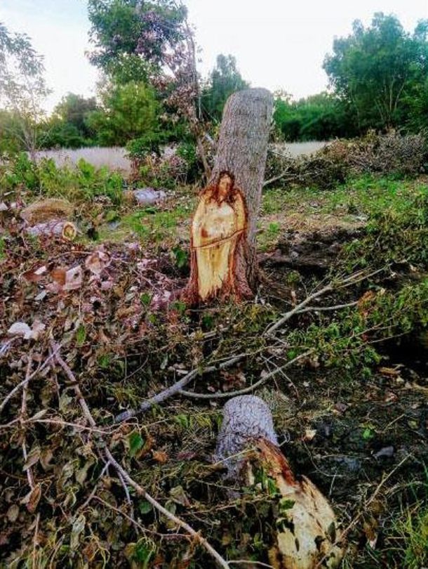 La imagen de Jesús en un árbol sorprendió a General Las Heras