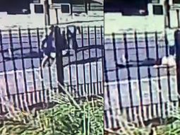 Fue a bailar y una patota le desfiguró la cara: está internado en terapia intensiva