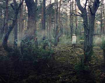 La serie de Netflix de 17 capítulos que es considerado como una joya.