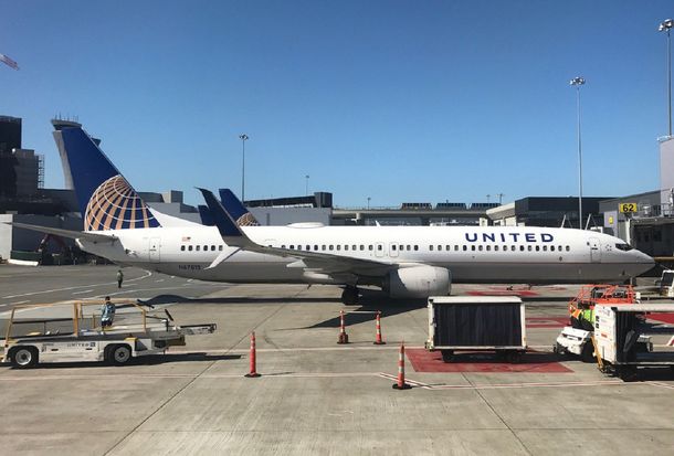 Un perro murió en pleno vuelo porque lo hicieron viajar con el equipaje de mano