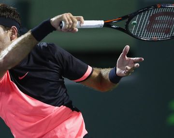Del Potro cuidará el físico en sus próximos torneos