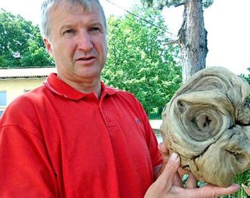 Encuentra la cabeza de un extraterrestre en un cementerio