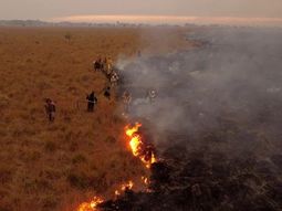 Gentileza: Argentina Forestal&nbsp;