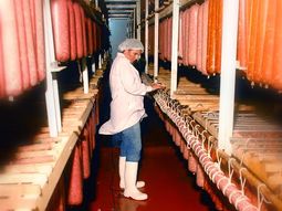 presentan en tandil un salame de 15 metros y mas de 50 kilos presentan en tandil un salame de 15 metros y mas de 50 kilos