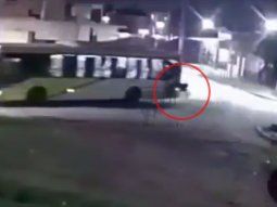 Lomas de Zamora: pasajero de un colectivo cayó al asfalto tras desprenderse la ventanilla