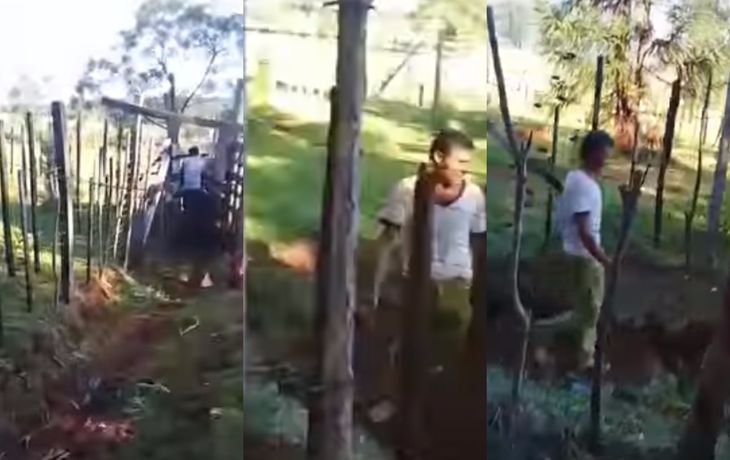 VIDEO: Descubrió a su vecino teniendo sexo con su vaca, lo filmó y lo escrachó
