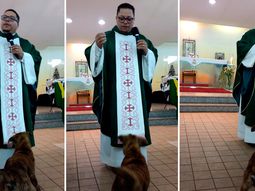 video: mira al perro cristiano que interrumpe una misa para jugar con el cura video: mira al perro cristiano que interrumpe una misa para jugar con el cura