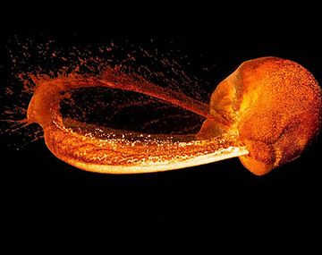 Cómo nació la Luna: una supercomputadora intenta determinarlo