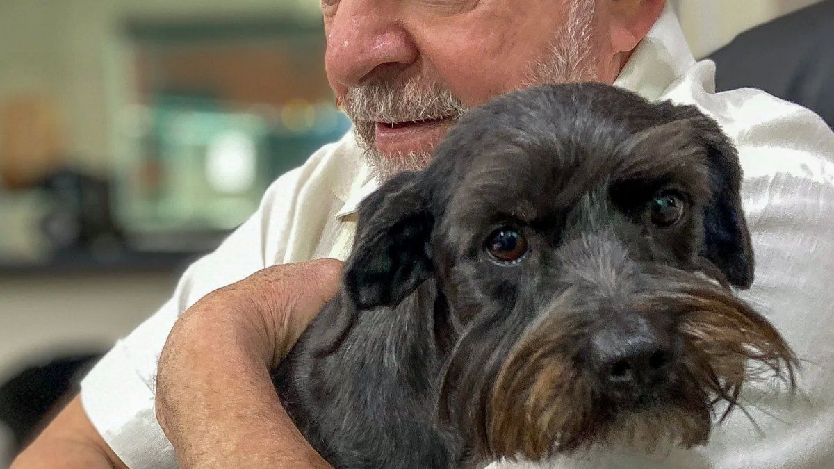 La historia de Resistencia: la perra callejera que adoptó Lula y que vivirá  en la residencia presidencial
