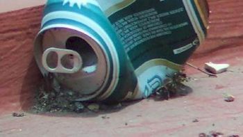 Foto ilustrativa. Foto ilustrativa.