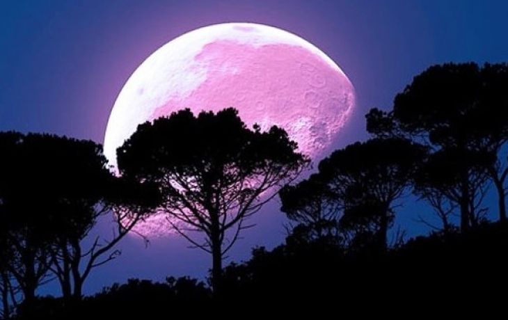 Cómo afectará la Luna rosa a cada signo del zodíaco.