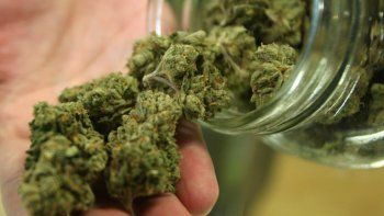 uruguay analiza permitir a los turistas el acceso a la marihuana recreativa legal uruguay analiza permitir a los turistas el acceso a la marihuana recreativa legal