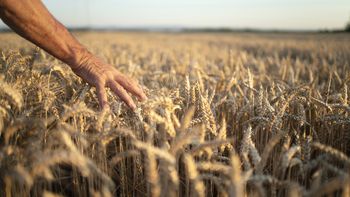 El Instituto Nacional de Estadística (INE) actualizará el próximo jueves 1 de diciembre la base del Índice de Precios del Consumo (IPC). El Instituto Nacional de Estadística (INE) actualizará el próximo jueves 1 de diciembre la base del Índice de Precios del Consumo (IPC).