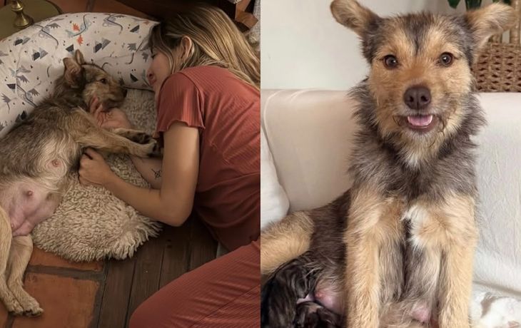 Jimena Barón lloró de emoción tras el nacimiento de los cachorros de su perra Lucy Jimena Barón lloró de emoción tras el nacimiento de los cachorros de su perra Lucy