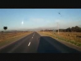 VIDEO: Las langostas avanzan sobre los campos en el Chaco