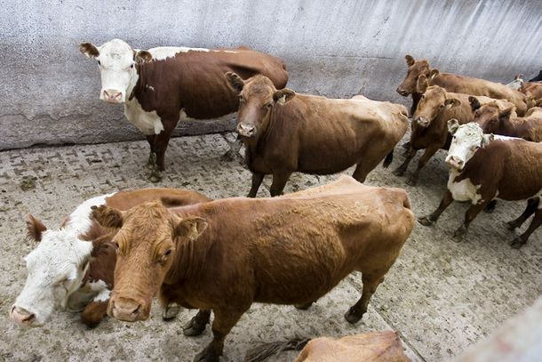 Para los ruralistas, el paro fue un éxito en la tercera jornada