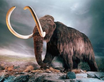 ¿Es posible para la ciencia lograr la clonación de un mamut?