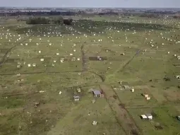 Mataron por la espalda a un hombre en la toma de Los Hornos